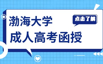 渤海大学函授学士学位英语考什么