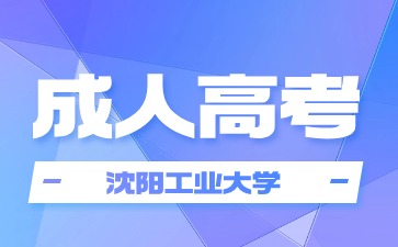 沈阳工业大学函授学籍怎么查