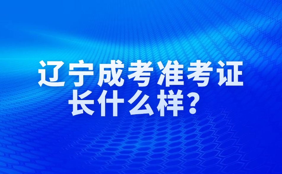 辽宁成考准考证