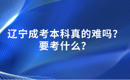 辽宁成考本科