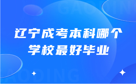 辽宁成考本科