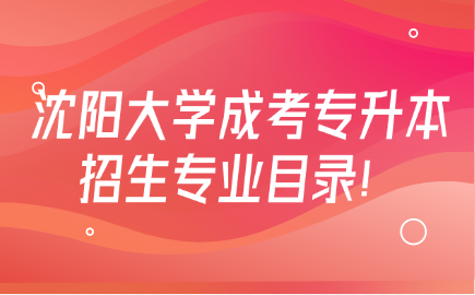 沈阳大学成考