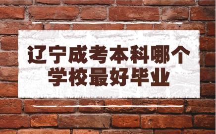 辽宁成考本科