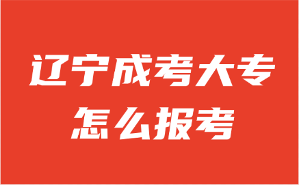 辽宁成考