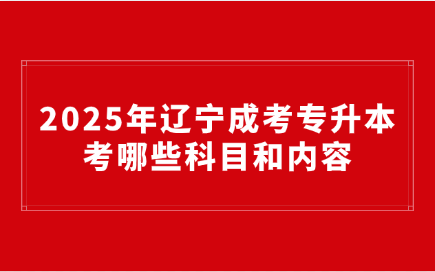 辽宁成考