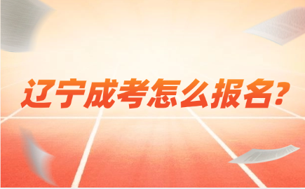 辽宁成考报名流程