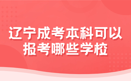 辽宁成考本科